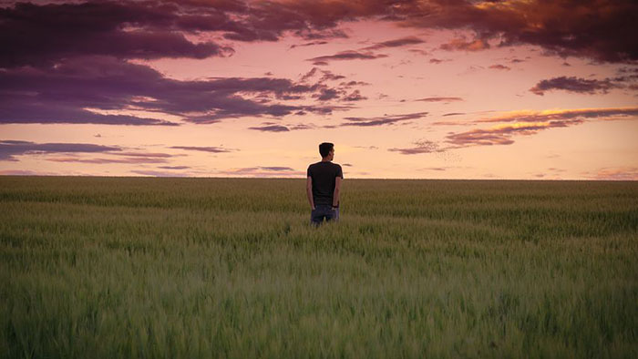 Sunset in Grassland