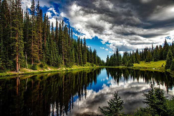 Temperate Lake