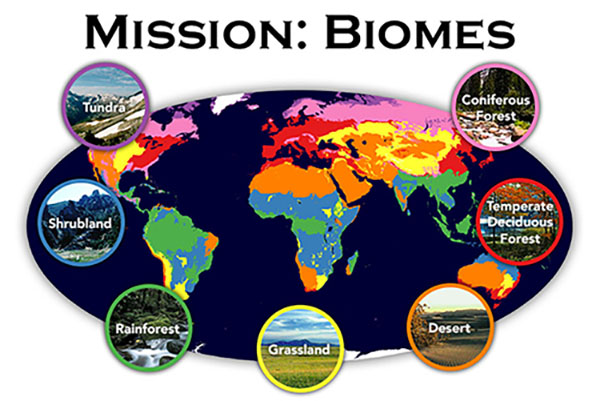 The Different Biomes Across the World