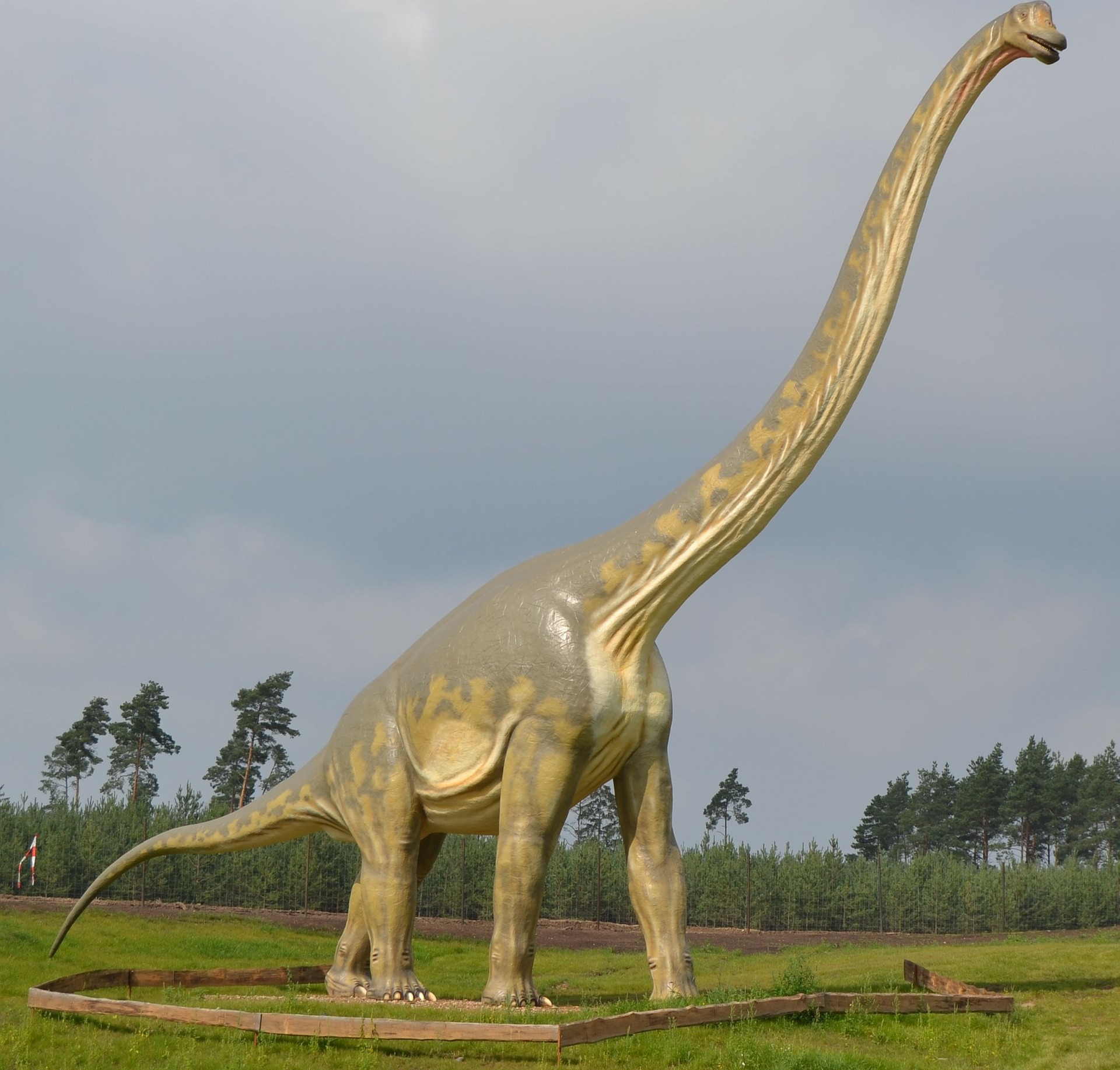 Brontosaurus